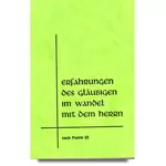Erfahrungen des Gläubigen im Wandel mit dem Herrn Psalm 23 #2E