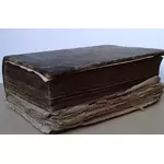 Die Bibel Heilige Schrift mit Apokryphen