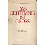 Das Geheimnis ist gross, Theodor Bovet