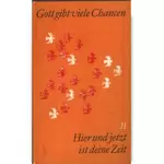 Gott gibt viele Chancen 2 Hier und jetzt ist deine Zeit, Rose-Maria Raatz