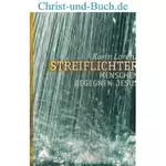 Streiflichter Menschen begegnen Jesus, Karin Lorenz