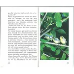 Glück und Segen zum Geburtstag - Großdruck, Ursula Kirchner