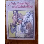 FREIWILLIGE UND UNFREIWILLIGE - Nordschleswiger im großen Kriege nach Briefen und Berichten - von Johannes Dose