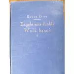 ES GEHT EINE DUNKLE WOLK HEREIN - von Erwin Gros