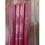 FB Hole: Commentary New Testament 4 Volumes (Matthew-Revelation)