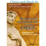 Manchmal brauchst du einen Engel, Siegfried Fietz , Cornelia Haverkamp