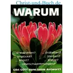 Warum gibt Gott denn keine Antwort?