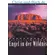 Australien Saga 2 Engel in der Wildnis, Patricia Hickman