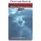 Absturz Richtung Himmel, Norbert Ammon #6A