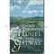 Irlandsaga 2 Die grünen Hügel von Galway, Bodie Thoene, Brock Thoene
