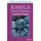 Joshua Claim the Inheritance, Charles Wagner