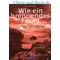 Wie ein brennendes Feuer, Theo Wendel :