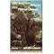 Die letzten Worte des Herrn Jesus, Hamilton Smith