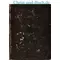 Ioannis Calvini In Novum Testamentum Commentarii Ad Editionem Amstelodamensem Matthaeo Marco Luca Vol. II Harmoniae Evangel. P. II, A Tholuck :