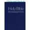 Holy Bible NIV