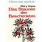 Das Staunen der Beschenkten, Mary Hajos #2