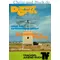 Danny Orlis und ein erlebnisreicher Sommer in Texas, Bernard Palmer