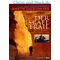 Der Israel Trail, Judith Galblum Pex