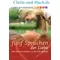 Die fünf Sprachen der Liebe, Wie Kommunikation in der Ehe gelingt, Gary Chapman