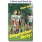 Ausgerechnet Becky, Eileen Taylor