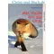 Dem Fuchs auf der Spur, Marion Gitt