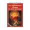 Der auferstandene Christus als unser Seelsorger, David Jaffin