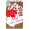 Briefe aus Canada, Anny Wienbruch